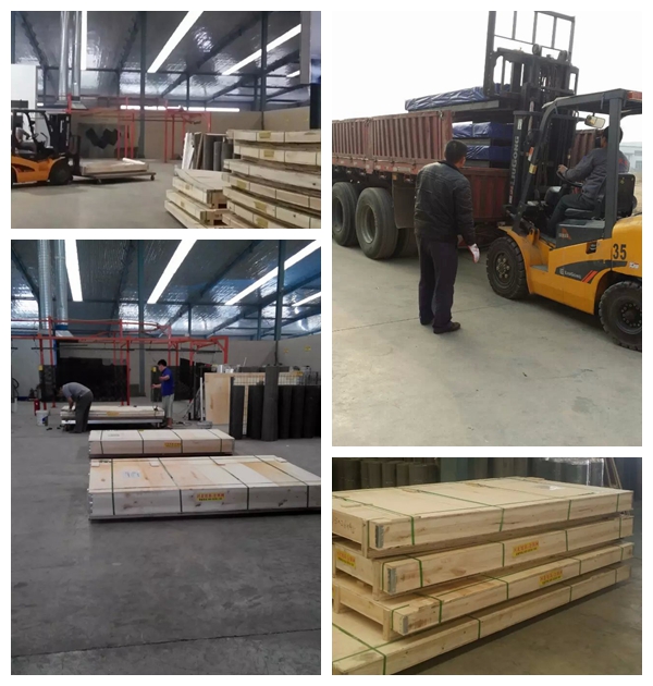 Schwarzer 316 Edelstahl gestrickte Masche, Messgerät-Maschendraht des Moskito-10 1